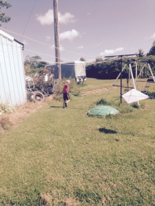 flying his kite through the yard